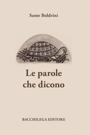 Le parole che dicono. Pensieri per aforismi Sante Boldrini