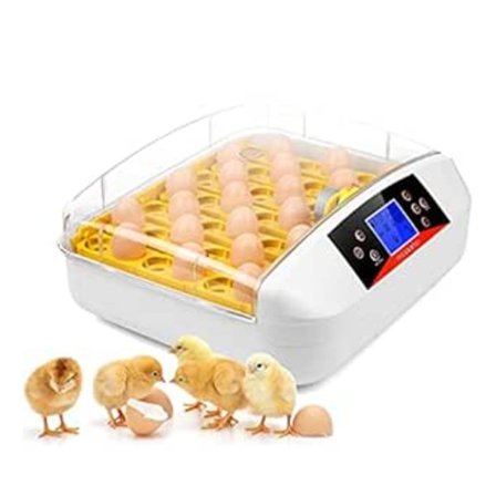 Inkubator Egg Automatisk Inkubator Rugemaskin Kyllinginkubator Hjemmeinkubator Kontroller Gård Egginkubator 41 Egg
