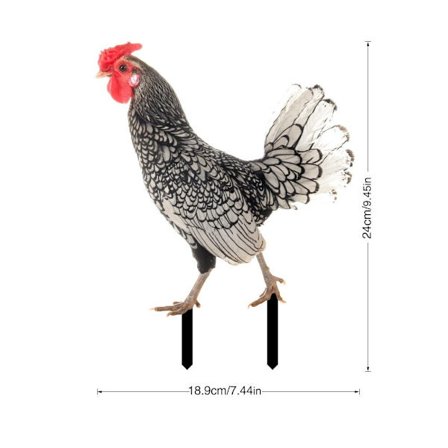 Puutarhan kanan vaarnan kukkopatsaat B B