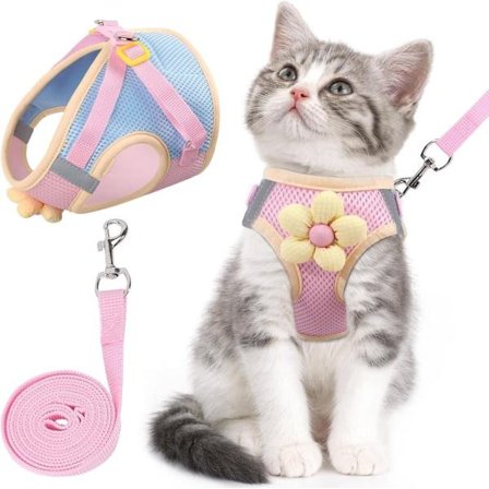 Hund- och kattsele med koppel – Rymningssäker sele i ventilerande mesh med reflex för katt, hund och kanin_TF_TF