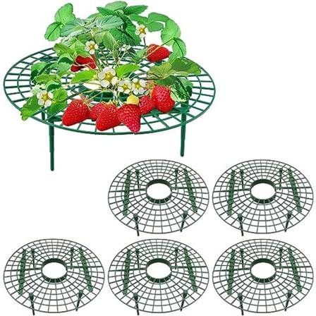 Jordbærstel sæt med 5 - Justerbar jordbærholder med 4 ben - Plantesupport - Sneglebeskyttelse - Råd og skimmelbeskyttelse