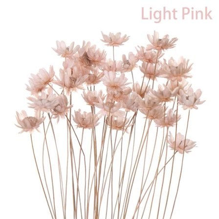 30st dekorativa torkade blommor Mini Daisy LJUSROSA light pink