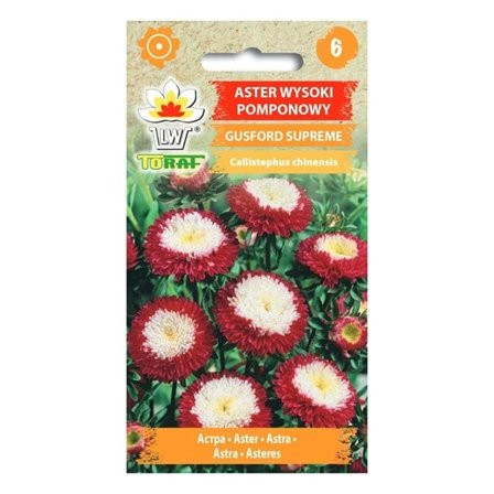 Asterin siemen Gusford Supreme - Moniväriset pompulit kukkapenkkiin ja kukkakimppuihin