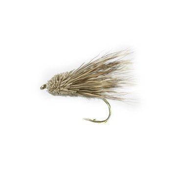 Streaking Caddis # 8