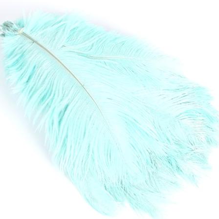 Färgad strutsfjäder 10 st för fotografi rekvisita Blomsterarrangemang DIY-dekor