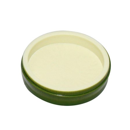 Bladformad Reptil Matningsskål Terrarium Mat och Vattenskål