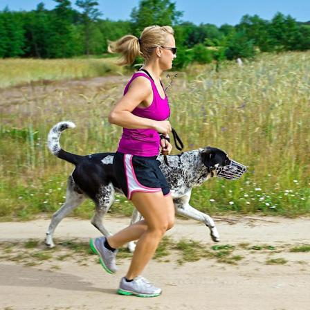 Säädettävä XL-kokoinen metallikoirakuonokoppa - Anti-haukkumista ja anti-puremista koirakuonokoppa suurille, keskisuurille ja pienille koirille
