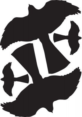 Vogelverschrikker met silhouet 'Sperwer' (2+2)