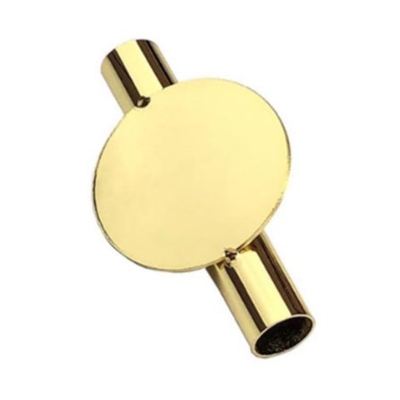 Seinälle kiinnitettävä kuivattu kukkamaljakko