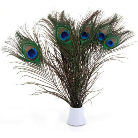 Kampagne, ægte sociale påfuglefjer, 25-30 cm, fantastisk dekoration til bryllup, jul, halloween, hjem (20 stk selvfølgelig), AAFGVC