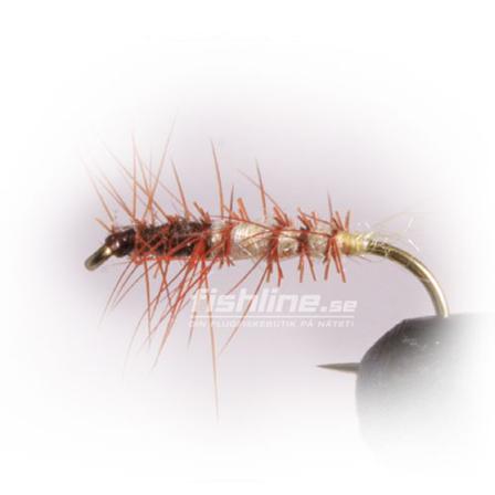 Superpuppa Cream/Brun size 12