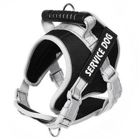 Hundsele och koppel Reflekterande hundselar för små hundar med namn