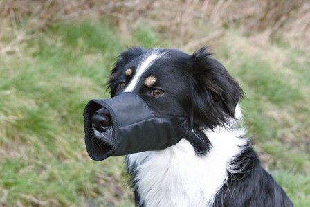 Trixie -säädettävä kuonokoppa, L-XL, 32 cm