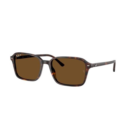 Ray-Ban Raimond - Solbriller - Brun - RB2231 902/57 5618
