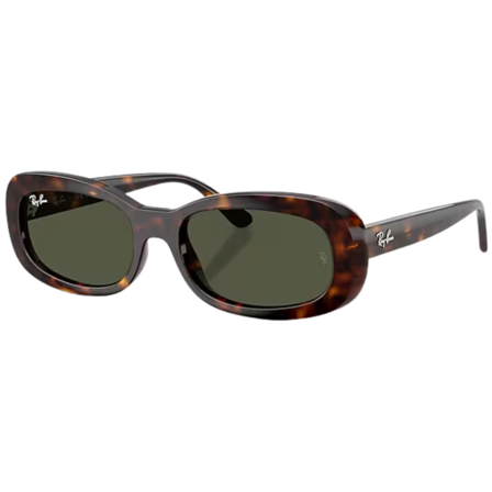 Ray-Ban 0RB2221 Havana Green
