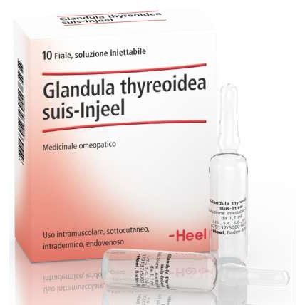 Guna Heel Glandula Thyroidea Suis Injeel 10 Fiale