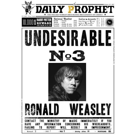 A3 Print - Harry Potter - Daily Prophet - Donald Weasley No 3