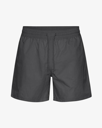 Classic Swim Shorts - Lava Grey - Male - L