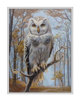 Broderikit Billede Ugle - Riolis