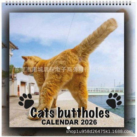 Katte Rumpehull Kalender 2026, Katteballer Kalender Morsom Katte Rumpehull Kalender, 12 Måneders Katteballer, Katte Rumpehuller 2026 Kalender