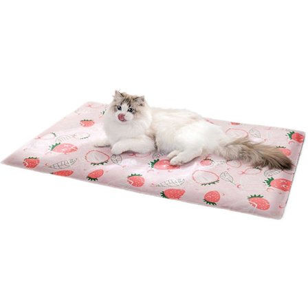 Coola Lekmattor för Husdjur Tvättbara sängkläder för katter, portabla halkfria