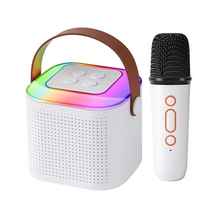 Mini Portabel Bluetooth Karaoke-högtalare med 1 Trådlös Mikrofon för Pojkar och Flickor Familjesammankomster Födelsedagsfest YEMAESRE