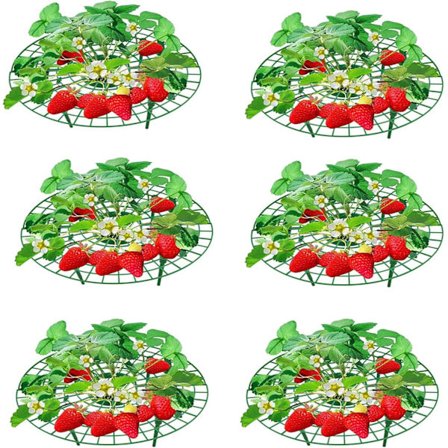 6 stk jordbærplante støtte jordbær og frukt planting støtter f