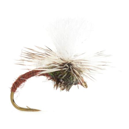Klinkhammer Brun size 12
