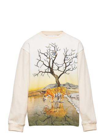 Rube T-shirts Long-sleeved T-shirts Monivärinen/Kuvioitu Molo