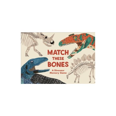Match these Bones