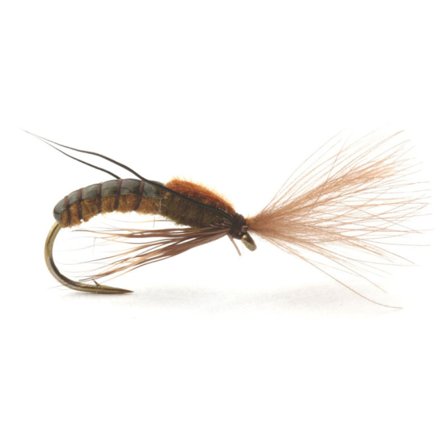 Super Emerging Caddis Brown Olive - 16