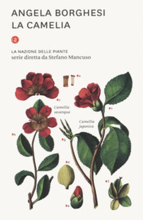 La camelia. La nazione delle piante Angela Borghesi