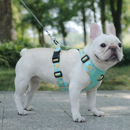Ny hundebrystsele med universell reflekterende dykkermateriale for turer