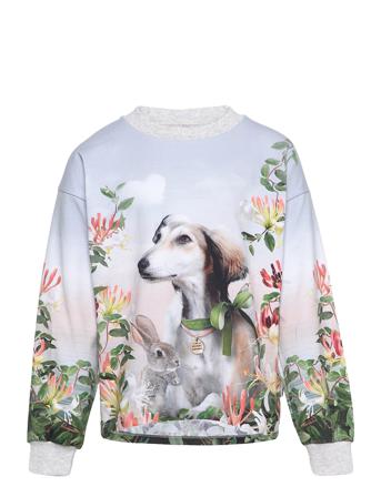 Reniza T-shirts Long-sleeved T-shirts Monivärinen/Kuvioitu Molo