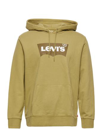 Standard Graphic Hoodie Bw Ssn Hoodie Grön LEVI ́S Men