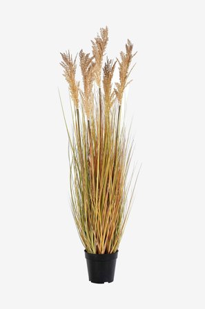 House Nordic - Konstgjord växt Durragräs. Växt av PE plast. - Grön - Konstgjorda växter & plastblommor - Från Homeroom