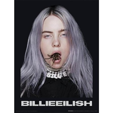 Billie Eilish Spider Plakat 40cm x 30cm Svart Svart