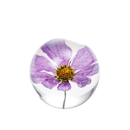 In Flore Cosmos Pappersvikt Inredningsdetaljer Lila 8 cm