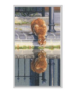 Bilde katt drikker i park - RTO