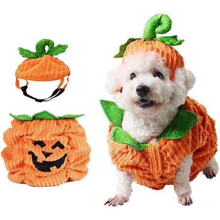 ("M"-koko) Halloween-kurpitsakoirapuku, koirakissan Halloween-lämmin pukuasu Halloween-lemmikkieläinten cosplay