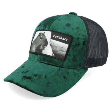 Calza Pennello - Grön trucker Keps - Kids Capybara Sofa Velvet Green/Black Trucker @ Hatstore