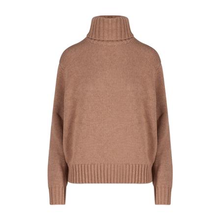 Polo Ralph Lauren, Turtlenecks Bruin, Dames, Maat:L
