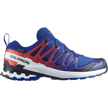 Salomon - Terrænløbesko Fodtøj Xa Pro 3d V9 Gtx Equipe