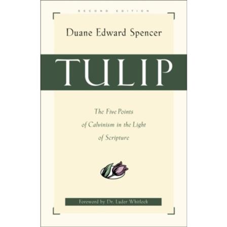 Tulip – The Five Points of Calvinism in the Light of Scripture (häftad, eng)