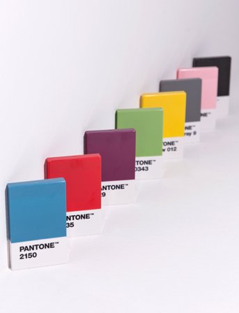 PANTONE Pantone Creditcard Holder In Matte And Giftbox - Pink - H:11CM