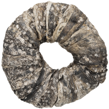 Trixie - Denta Fun Tyggering Fisk, (Bulk) Grå 10 cm - Hund - Hundegodbiter & tyggebein - Tyggeringer & tyggesnacks - ZOO.no