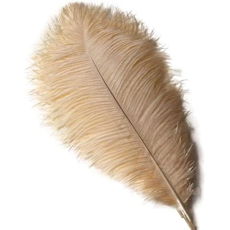12-14 tum (30-35 cm) strutsfjädrar för bröllopsdekorationer 10-pack (champagne)