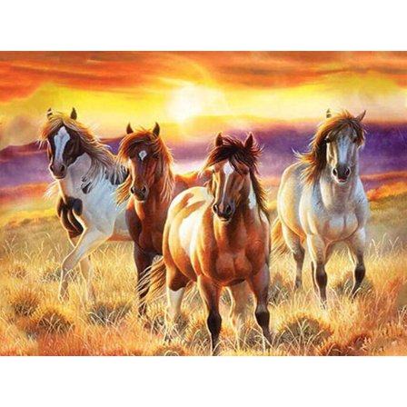 5D Diamantmaleri Kit 30x40cm DIY Farverig Hest Diamantkunst