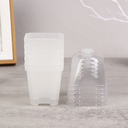 5 Stk Firkantet Liten Blomsterpotte med Fuktighetskuppel lings ing Potter