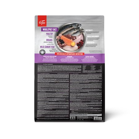 Kitten Torrfoder För Katt 1,8kg